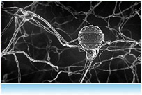 Nerve cells - neurons and nanobots replacing them. Future nanotechnology.